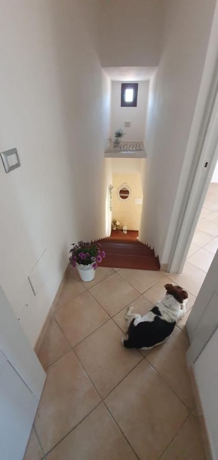 B&B Villa Orchidea Olbia Exterior foto