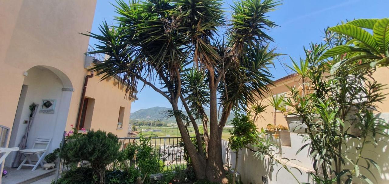 B&B Villa Orchidea Olbia Exterior foto